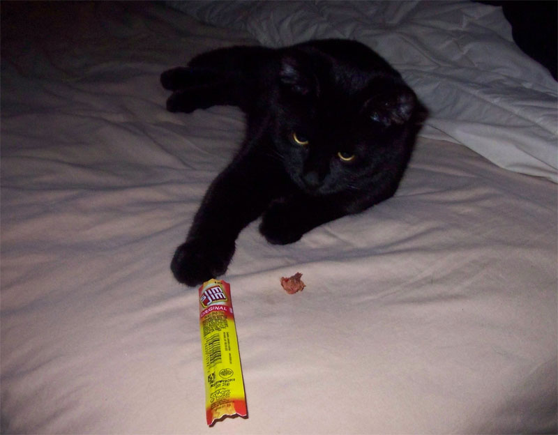 Can cats 2025 eat slim jims